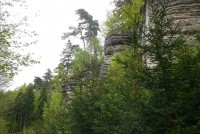 /album/kost/p1010330-jpg/