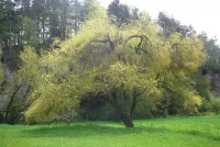 /album/kost/p1010347-jpg/