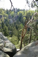 /album/prachovske-skaly/p1010381-jpg/