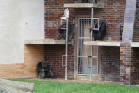 /album/zoo-dvur-kralove/p1010653-jpg/