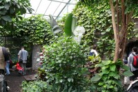 /album/zoo-dvur-kralove/p1010676-jpg/